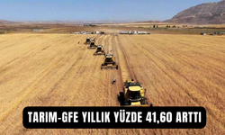 Tarım-GFE yıllık yüzde 41,60 arttı