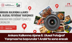 Ankara Kalkınma Ajansı 8. Ulusal Fotoğraf Yarışması'na başvurular 1 Aralık'ta sona erecek