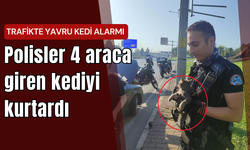 Trafikte yavru kedi alarmı | Polisler 4 araca giren kediyi kurtardı