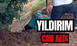 Yıldırım can aldı