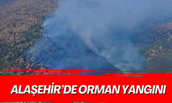 Alaşehir'de orman yangını