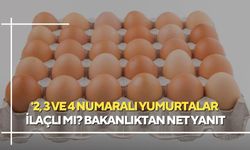 '2, 3 ve 4 numaralı yumurtalar ilaçlı mı? Bakanlıktan net yanıt