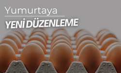 Yumurtaya yeni düzenleme | Atılacak adımlarla israf önlenecek