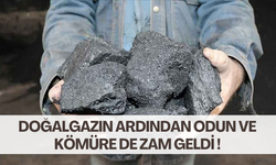 Doğalgazın ardından odun ve kömüre de zam geldi !