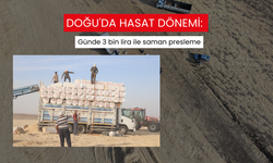 Doğu'da hasat dönemi: Günde 3 bin lira ile saman presleme