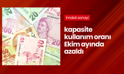 İmalat sanayi kapasite kullanım oranı Ekim ayında azaldı