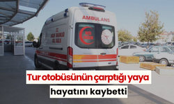 Tur otobüsünün çarptığı yaya hayatını kaybetti