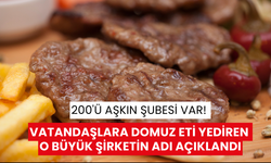 200'ü aşkın şubesi var! Vatandaşlara domuz eti yediren o büyük şirketin adı açıklandı