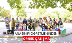 Anasınıfı öğretmeninden örnek çalışma