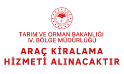 ARAÇ KİRALAMA HİZMETİ ALINACAKTIR