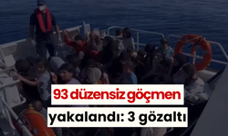 93 düzensiz göçmen yakalandı: 3 gözaltı