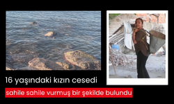 16 yaşındaki kızın cesedi sahile sahile vurmuş bir şekilde bulundu