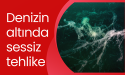 Denizin altında sessiz tehlike: Müsilaj Marmara'da 24 metreye kadar yayıldı