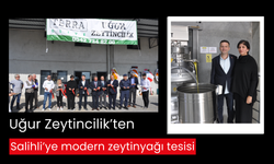 Terra Olive Uğur Zeytincilik tesisinde ilk sıkım yapıldı