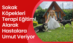 Sokak köpekleri terapi eğitimiyle, hastalar için umut kaynağı oluyor