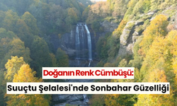 Doğanın renk cümbüşü: Suuçtu Şelalesi'nde sonbahar güzelliği