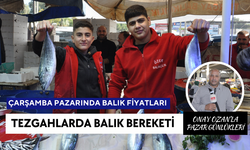 Pazarda Balık Fiyatları 30 Ekim Çarşamba | Tezgahta çeşit bereketliliği