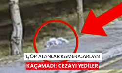 Çöp atanlar kameralardan kaçamadı: Cezayı yediler