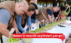 Belen Zeytin Festivali; Tescilli Zeytinler Arasında Büyük Yarış!