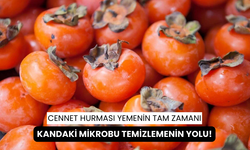 Kandaki mikrobu temizlemenin yolu, cennet hurması yemekten geçiyor...