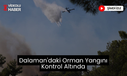 Dalaman'daki orman yangını kontrol altına alındı