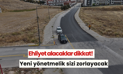 Ehliyet alacaklar dikkat! Yeni yönetmelik sizi zorlayacak