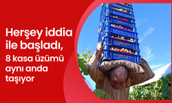 Herşey iddia ile başladı, 8 kasa üzümü aynı anda taşıyor