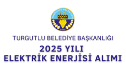 2025 YILI ELEKTRİK ENERJİSİ