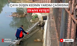 Yürekleri ısıtan haber | Çaya düşen kediye itfaiye ekipleri yardım etti! | O anlar böyle görüntülendi