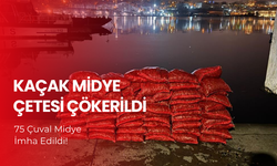 Kaçak Midye Çetesi Çökerildi | 75 Çuval Midye İmha Edildi!