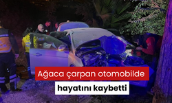 Ağaca çarpan otomobilde hayatını kaybetti