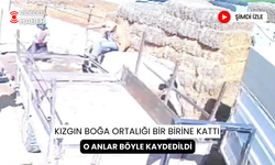 Kızgın boğa ortalığı bir birine kattı... O anlar böyle kaydedildi