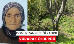 Evinin bahçesindeki yaşlı kadını domuz sanıp ölümüne sebep oldu