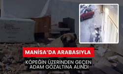 Manisa’da Arabasıyla köpeğin üzerinden geçen adam gözaltına alındı