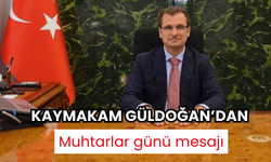 Kaymakam Güldoğan: Muhtarlarımız, halkımızla kurumlar arasında köprü vazifesi görmektedir