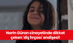 Narin Güran cinayetinde dikkat çeken 'diş fırçası' endişesi!