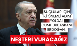 Suçlular için "iki önemli adım" yolda! Cumhurbaşkanı Erdoğan: Neşteri vuracağız