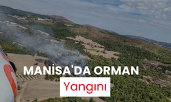 Manisa'da orman yangını