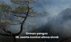 Orman yangını 28. saatte kontrol altına alındı