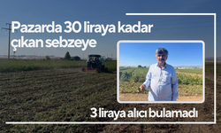 Çiftçi çaresiz; Pazarda 30 liralık sebze, tarla da 3 liraya alıcı bulamıyor!