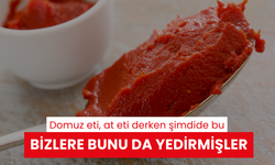 Domuz eti, at eti derken şimdide bu