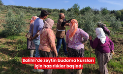 Salihli’de zeytin budama kursları için hazırlıklar başladı