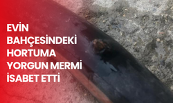 Evin bahçesindeki hortuma yorgun mermi isabet etti