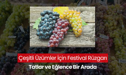 Tatlar ve Eğlence Bir Arada! | Çeşitli üzümlerin tanıtımı için festival düzenleniyor