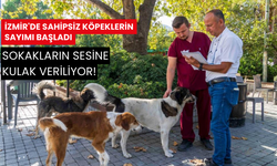 İzmir'de sokak dostları için büyük adım... Sahipsiz köpekler sayılmaya başlandı!