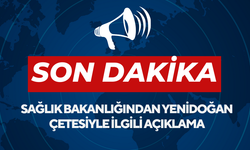 Sağlık Bakanlığından yenidoğan çetesiyle ilgili açıklama