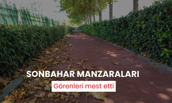 Sonbahar manzaraları mest etti