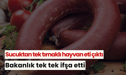 Sucuktan tek tırnaklı hayvan eti çıktı