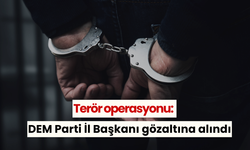 Terör operasyonu: DEM Parti İl Başkanı gözaltına alındı