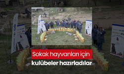 Sokak hayvanları için kulübeler hazırladılar